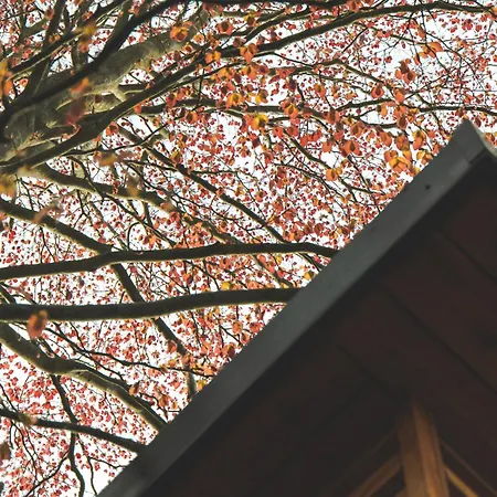 The Burniston 別荘