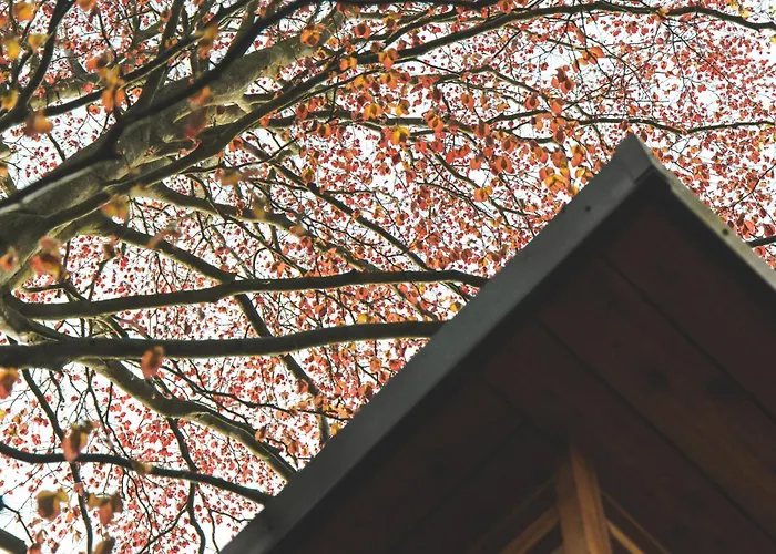 The Burniston Holiday home