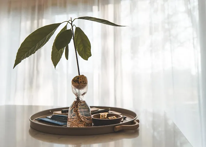 The Burniston Scarborough