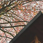 The Burniston Feriehus